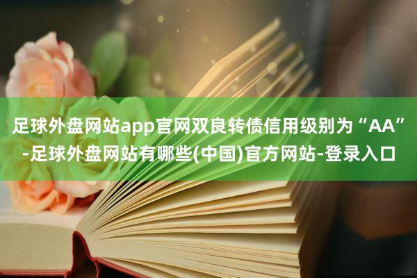 足球外盘网站app官网双良转债信用级别为“AA”-足球外盘网站有哪些(中国)官方网站-登录入口
