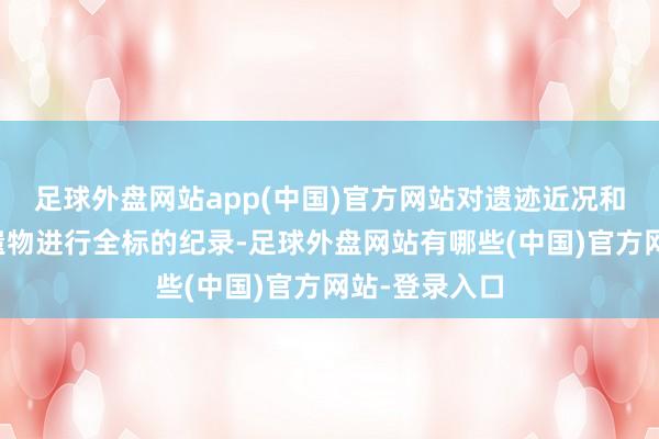 足球外盘网站app(中国)官方网站对遗迹近况和出土遗迹、遗物进行全标的纪录-足球外盘网站有哪些(中国)官方网站-登录入口