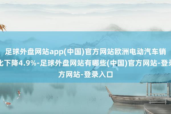足球外盘网站app(中国)官方网站欧洲电动汽车销量同比下降4.9%-足球外盘网站有哪些(中国)官方网站-登录入口