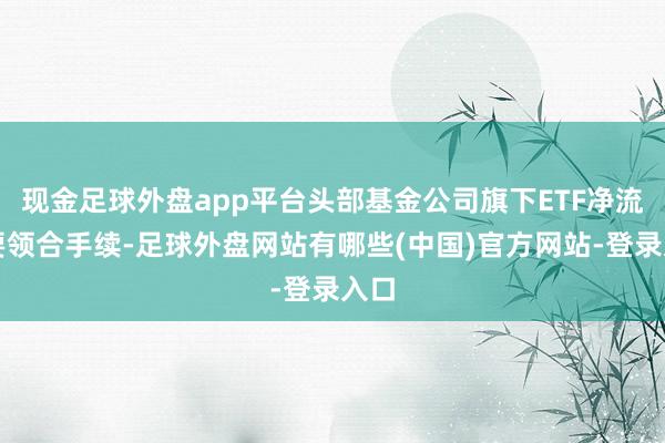 现金足球外盘app平台头部基金公司旗下ETF净流入要领合手续-足球外盘网站有哪些(中国)官方网站-登录入口