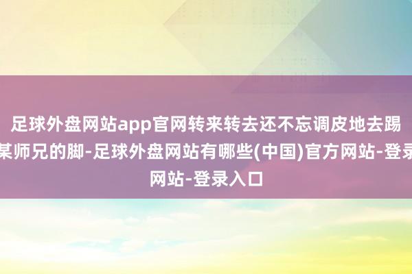 足球外盘网站app官网转来转去还不忘调皮地去踢一下某师兄的脚-足球外盘网站有哪些(中国)官方网站-登录入口