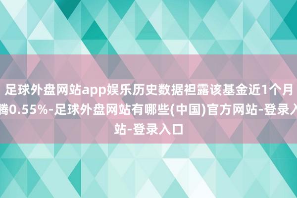 足球外盘网站app娱乐历史数据袒露该基金近1个月飞腾0.55%-足球外盘网站有哪些(中国)官方网站-登录入口
