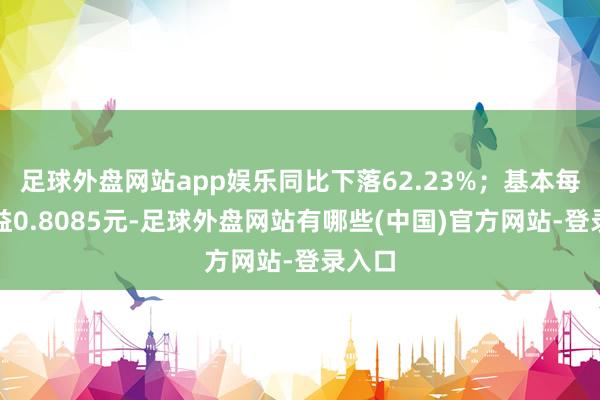 足球外盘网站app娱乐同比下落62.23%;基本每股收益0.8085元-足球外盘网站有哪些(中国)官方网站-登录入口